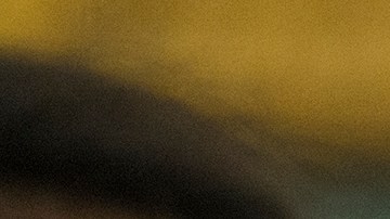 Concejal Carlos Menchaca.