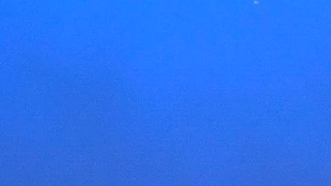 Vela jugó los Mundiales de Sudáfrica 2010 y Rusia 2018.