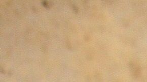 Los huesos de carnaza suelen gustarle mucho a los perros.