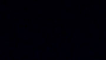 Biden pidió a Sanders que condenara el autoritarismo. El senador accedió.