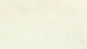 Cebolla-Marco Costanzi en Pixabay