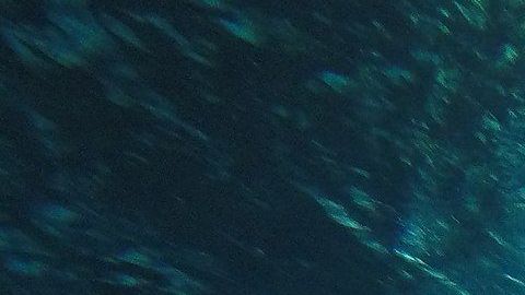 Cenotes en Yucatán, en México.