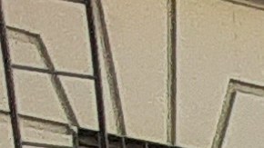 Organizaciones de base comunitaria siguen su trabajo de manera remota. (Foto: Fernando Martínez)