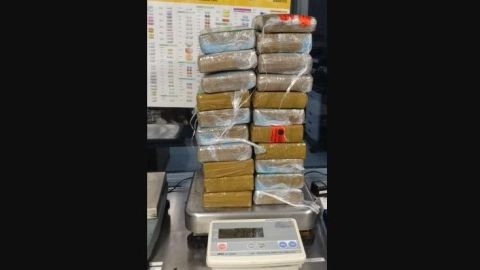 Los 23 kilos de cocaína.