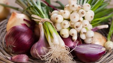 La cebolla es una hortaliza con un gran poder antioxidante, que combate eficazmente a los radicales libres.