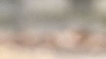 Hacen una pareja hermosa.