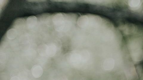 San Valentín en la casa de Romeo y Julieta / Créditos: Fotógrafo Carly Rae Hobbins vía Unsplash