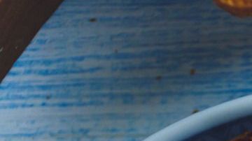 La crema de cacahuate 100% orgánica es una buena fuente de proteína y energía inmediata.