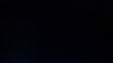 Sanders dice que trataría de lograr una reforma migratoria bipartita.