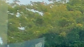 Manny Díaz, de la campaña Bloomberg, en Miami