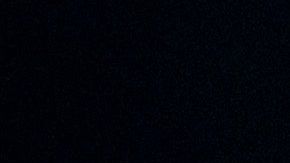 Joe Biden tomó a su favor los argumentos de la republicana.