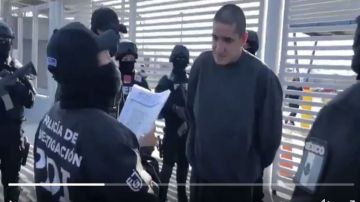 VIDEO: Así liberaron y detuvieron a líder del Cártel Unión Tepito, ligado a asesinato de famosos