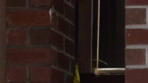 Asambleísta Catalina Cruz junto a Donovan Richards, candidato a la presidencia de Queens.