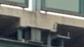 Concejal Daniel Dromm y Jessica González-Rojas.