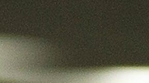 Biden confía en que el apoyo afroestadounidense dé un empujón a su campaña.