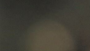 Un canguro comiendo una naranja.