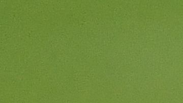 Edson Álvarez no está viviendo una época cómoda en Holanda.