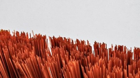 Famosa conductora de deportes reveló que trabajó como empleada doméstica.