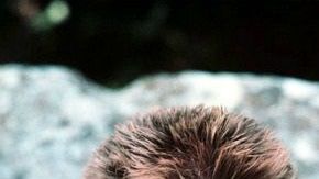 Kirk Douglas en El loco del pelo rojo, Espartaco y Senderos de gloria.