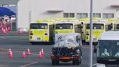 Coronavirus en crucero