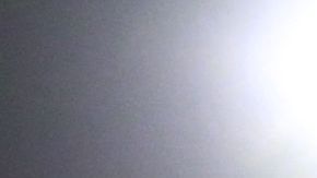 Will Ferrell apoyando a LAFC.