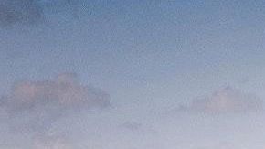 Un auto bajo el sol puede alcanzar temperaturas peligrosas