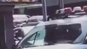 Vandalismo in fraganti contra NYPD en El Bronx