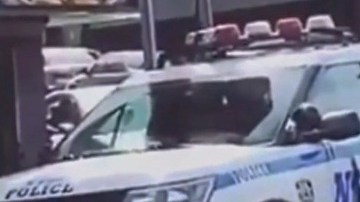 Vandalismo in fraganti contra NYPD en El Bronx