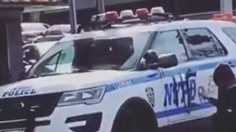 Vandalismo in fraganti contra NYPD en El Bronx