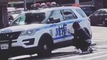 Vandalismo in fraganti contra NYPD en El Bronx