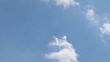 El incidente ocurrió en un McDonald's de Houston.