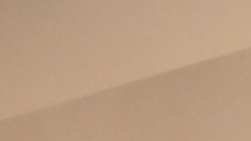 Choupette heredó una fortuna millonaria del diseñador Karl Lagerfeld.