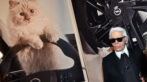 Choupette heredó una fortuna millonaria del diseñador Karl Lagerfeld.
