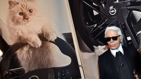 Choupette heredó una fortuna millonaria del diseñador Karl Lagerfeld.