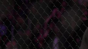 El ruso Khabib Nurmagomedov venció al irlandés Conor McGregor en UFC229.