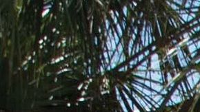 Imagen de archivo de un equipo de emergencia de la ciudad de Sunrise, en Florida