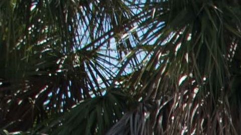 Imagen de archivo de un equipo de emergencia de la ciudad de Sunrise, en Florida