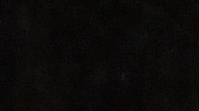 Nueva York podría registrar caída de aguanieve.