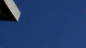 Women's March California 2019 - Los Angeles