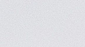 Un avión de Spirit Airlines, la compañía en la que iba el cadáver de la mujer de 83 años.