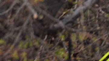 El tiroteo ocurrió en una escuela en Denver, Colorado.