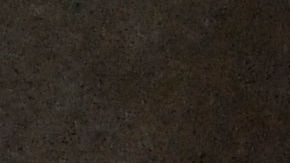 Los Fontana suelen cuidar a los gatitos con varias necesidades médicas.