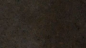 Los Fontana suelen cuidar a los gatitos con varias necesidades médicas.