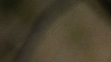 Humanitarian Aid Groups Help Immigrants In Borderlands