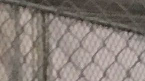 DHS Office of Inspector General Release Report on Detention Center Conditions