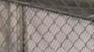 DHS Office of Inspector General Release Report on Detention Center Conditions