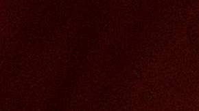 La DEA reconoce la existencia de carteles estadounidenses.