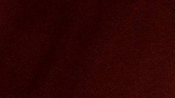 La DEA reconoce la existencia de carteles estadounidenses.