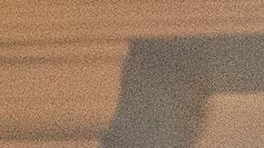 Miller es asesor de la Casa Blanca y su esposa, Katie, portavoz del vicepresidente Mike Pence.