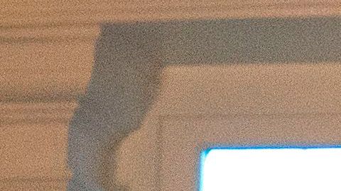 Miller es asesor de la Casa Blanca y su esposa, Katie, portavoz del vicepresidente Mike Pence.